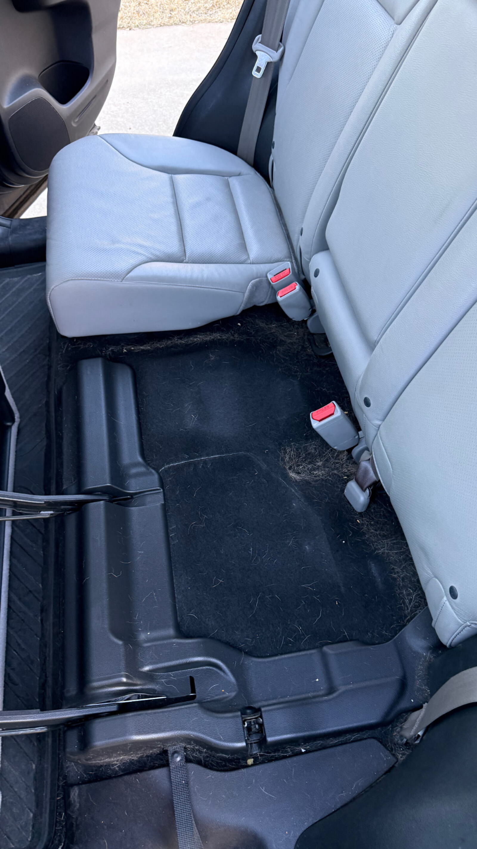 Interior Detail before detailing
